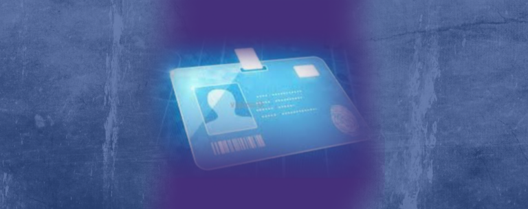 Reduction in Bureaucracy or Infringement upon Civil Rights? Lingering Questions about the SL-UDI