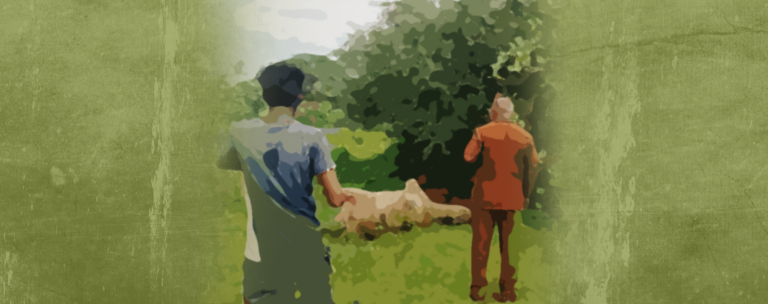 Batticaloa’s Grazing Lands: A Decade-Long Dispute Over Mathavanai and Mayilathamadu