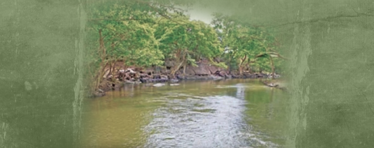 A Development Project or a Land Grab? The Revived Kivul Oya Project Explained