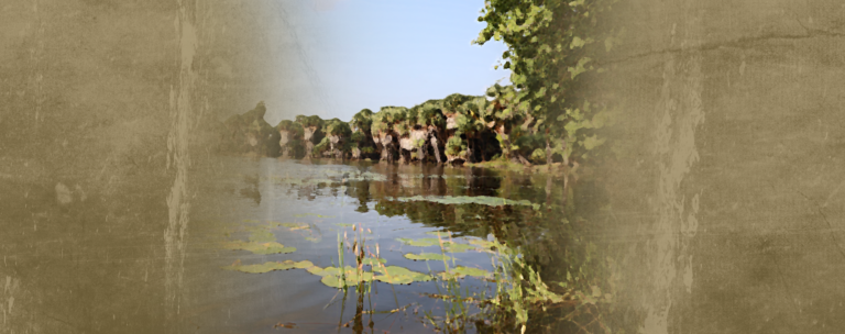 State Land Appropriation Continues to Threaten Northern and Eastern Communities